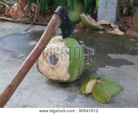 Peeling Coconut