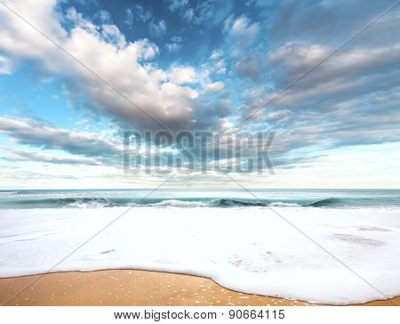 Beach landscape