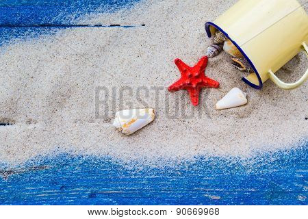 Colorful Shells Cup Sand Strewn Blue Boards