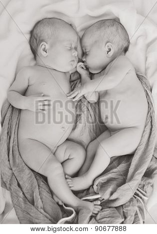 Sleeping Twins