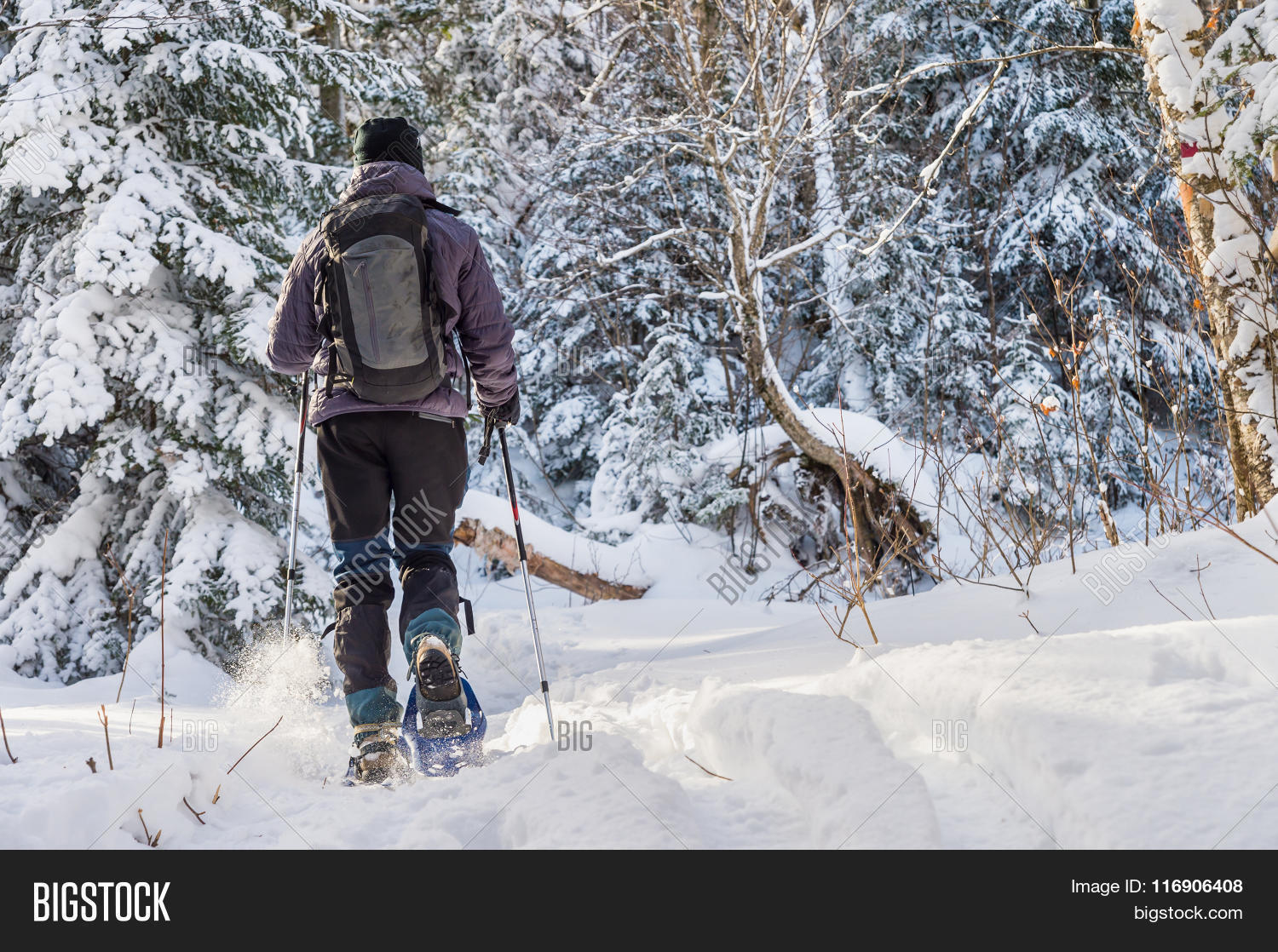 Young Man Snowshoeing Image & Photo (Free Trial) Bigstock
