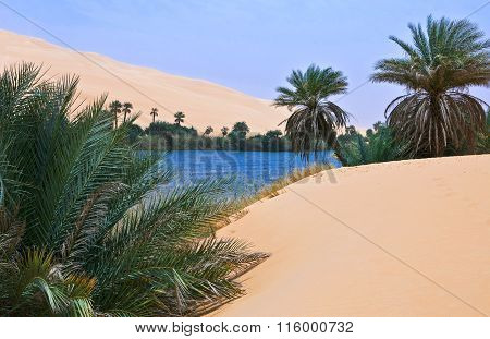 Libya