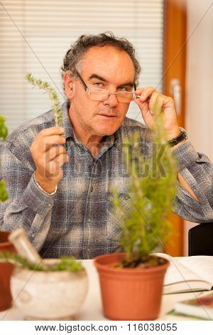 Workshop Of Knowing Herbs, Touching And Smelling Basil And Thym. Intergenerational Transfer Of Knowl