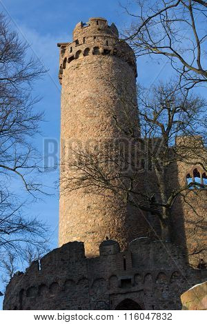 Ruins of castle Auerbach (Auerbacher castle)