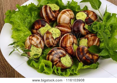 Escargot