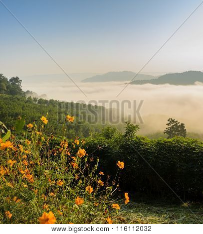 Sunrise With Sea Of Fog Above Mekong River