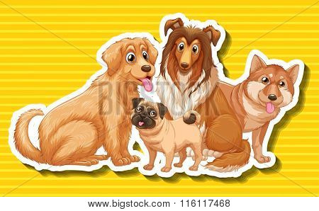 Four different type of dogs illustration