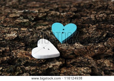 Two little hearts