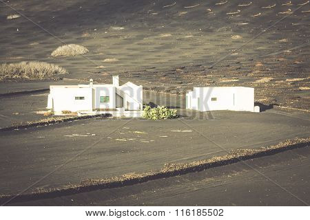 Vineyard On Black Volcanic Soil In La Geria Area. Lanzarote.canary Islands.spain