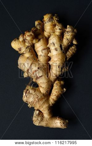 Ginger Root Closeup