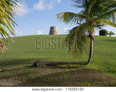 Sugar Mill And A Crooked Palm Tree