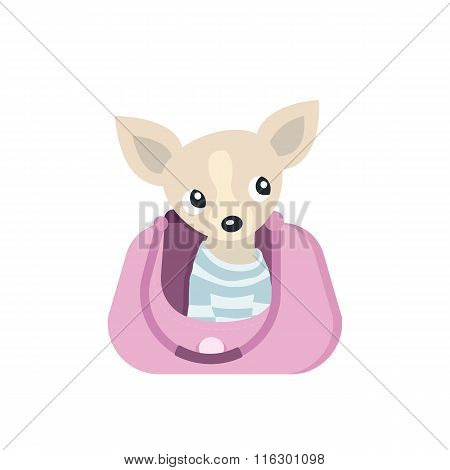 Dog in Bag