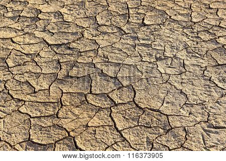 Loam In A Saline Basin