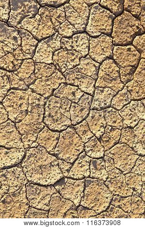 Loam In A Saline Basin