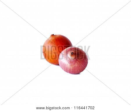 Onion Isolated On White Background