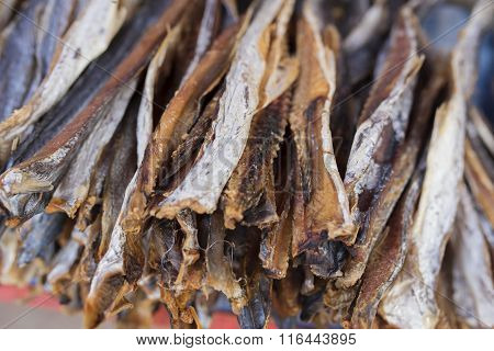 Dried fish in the market Myawadi ,Myanmar.