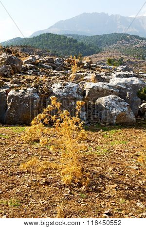 From The Hill  Asia Turkey  Ruins And Nature