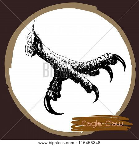 freehand sketch illustration of eagle claw hawk bird doodle hand drawn