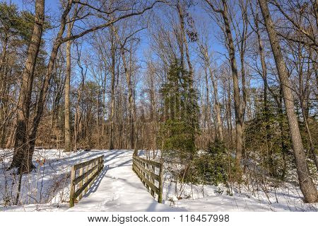 Old Walking Bridge In The Woods Covered In Snow