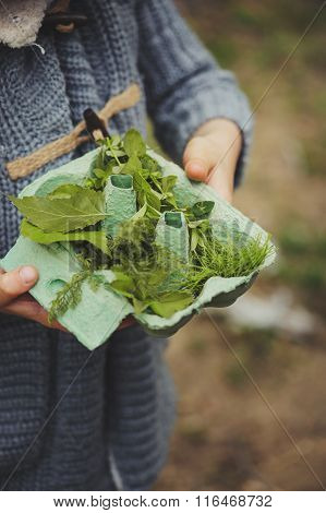 summer outdoor activity for kids - scavenger hunt leaves sorting in egg box nature exploration