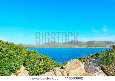 Porto Conte Shoreline On A Clear Day