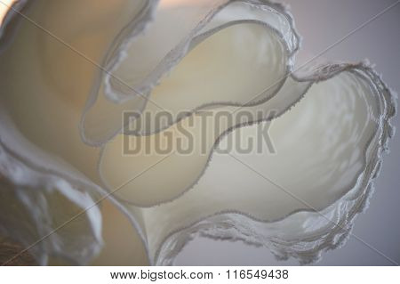 The details of the wedding dresses