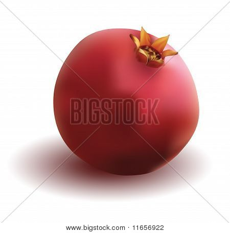 석류
