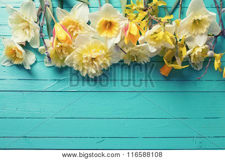 Border From Fresh  Spring Yellow Narcissus, Tulips  Flowers  On Green Painted Wooden Planks.