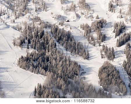 Winter Landscape