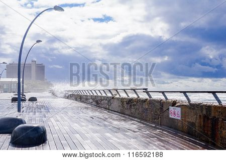 Winter Scene, In The Tel-aviv Port