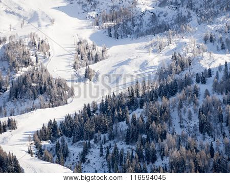 Winter Landscape