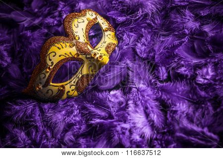 Female Carnival Mask