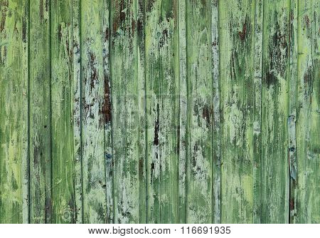 Cracked Green Paint