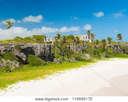 Harrismith Beach is one of the most beautiful beaches on the Caribbean island of Barbados. It is a tropical paradise with palms hanging over turquoise sea and a ruin of an old mansion on the cliff