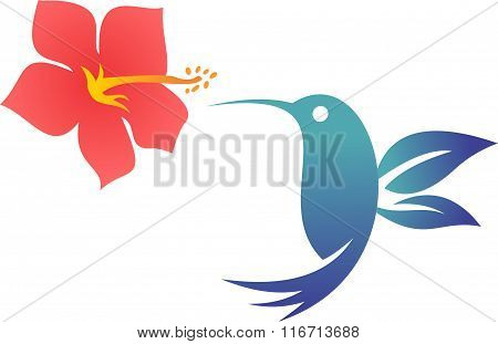 stock logo flower birds