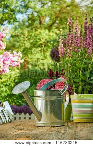 Freshflowers  in wooden box with garden tools on terrace