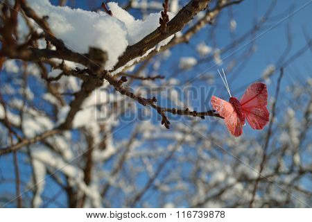 Pink Butterfly