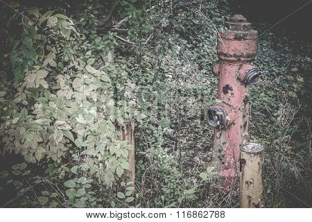 Abandoned Places