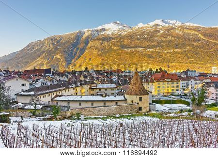 Vineyard and Alps in Chur at sunrise. Chur is the capital of canton Graubunden in Switzerland. It lies in the Alpine Grisonian Rhine valley. The city is the oldest town of Switzerland