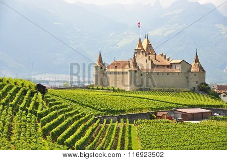 Chateau d'Aigle, Switzerland