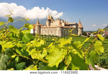 Chateau d'Aigle, Switzerland