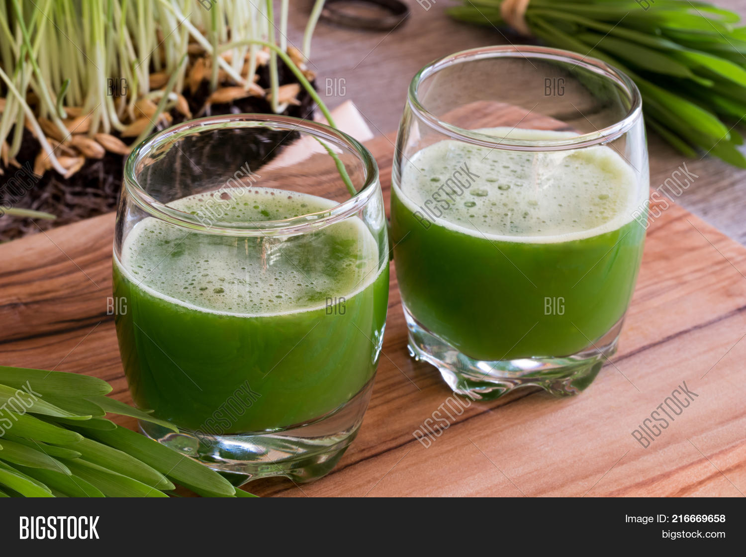 Витграсс сок фото. Густой сироп топпер. Смола фисташкового дерева. Тайланд и гевея. Дерево сорвейра.