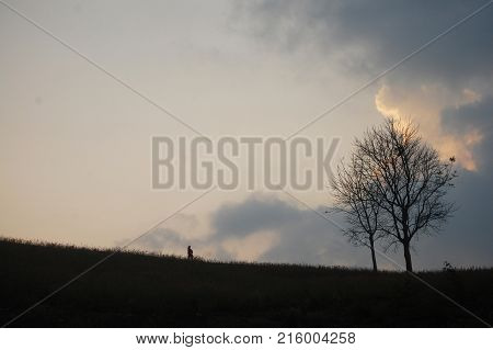 Dead Dry Tree Stand On Top Of Mountain Doi Samer Dao In Sri Nan National Park