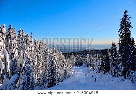 Cross country skiing on Cypress Mountain. People skiing on a beautiful snowy day near Vancouver. British Columbia. Canada.