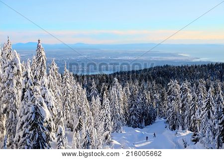 Cross country skiing on Cypress Mountain. People skiing on a beautiful snowy day near Vancouver. British Columbia. Canada.