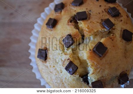 Homemade fresh vanilla muffin whit chocolate crumbs/ top view