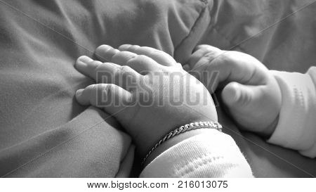 Baby little hands in black and white.