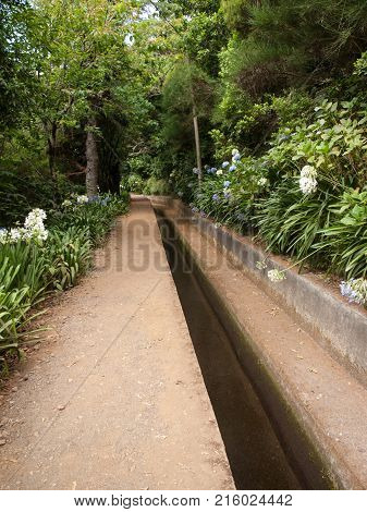 Levada do Norte near Boca da Encumeada on Madeira Island. Portugal