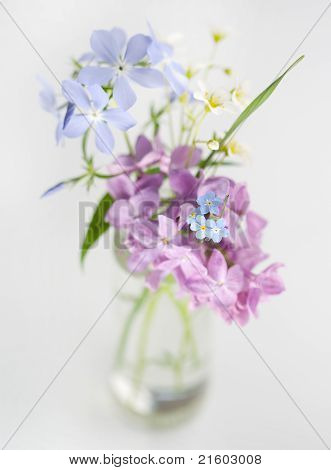 美しい春の花