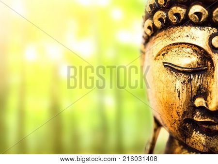 head of golden buddha statue on lush green background